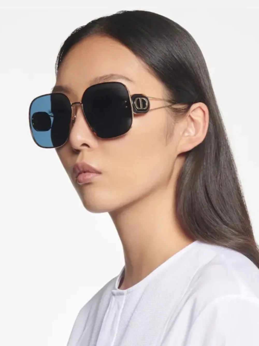 Dior diorbobby siu